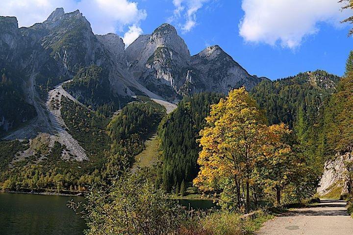 Fruehstueckspension Pachler Гозау Экстерьер фото